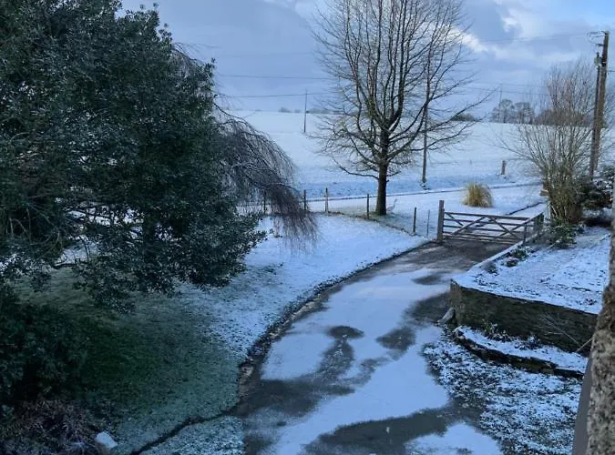 Welcoming And Peaceful ベッド・アンド・ブレックファスト *